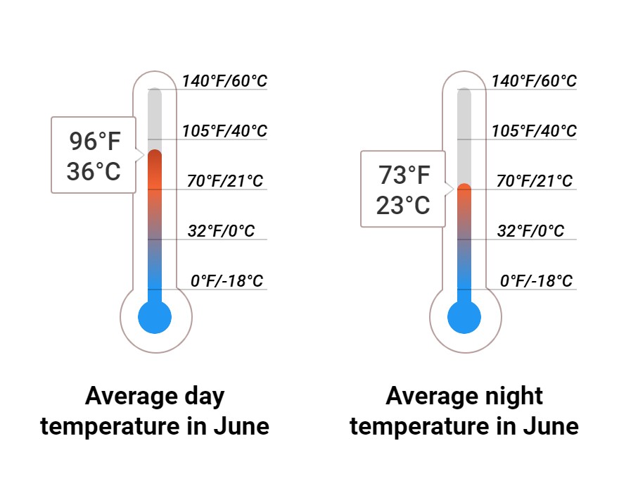 What to do in June in Cabo San Lucas, Mexico 2024 Winter Sun Expert